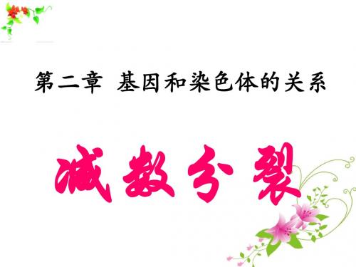 人教版高中生物必修二2.1《减数分裂》优质课件
