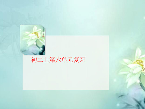 初二上第六讲义单元复习