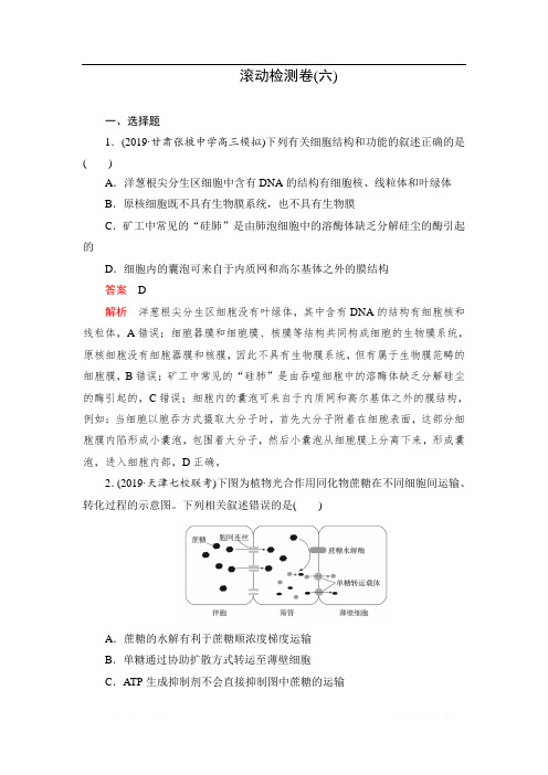 2020高考生物刷题1+1(2019高考题+2019模拟题)讲练试卷：滚动检测卷(六) 