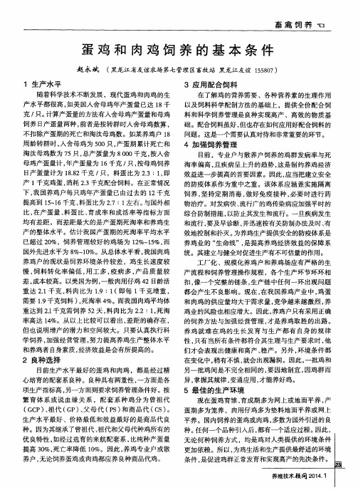 蛋鸡和肉鸡饲养的基本条件