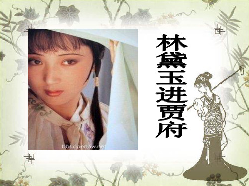 1林黛玉进贾府 (人物赏析)