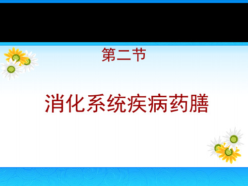 食疗与养生药膳学概论ppt课件