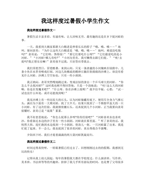 我这样度过暑假小学生作文