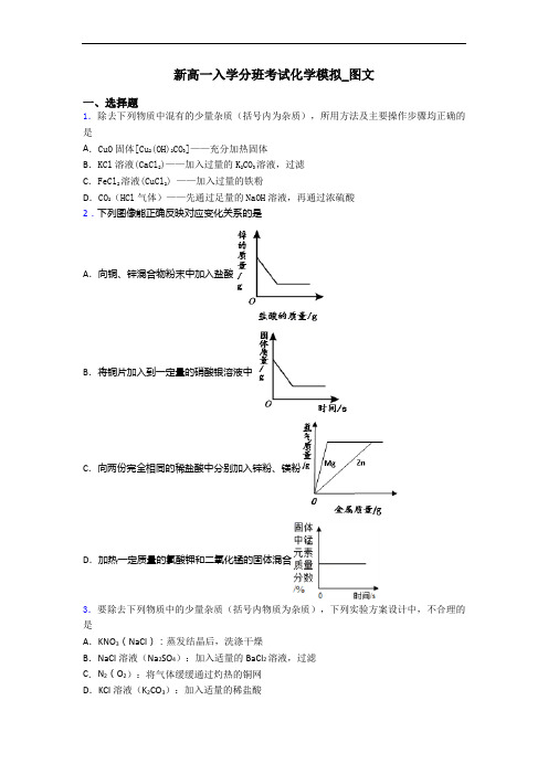 新高一入学分班考试化学模拟_图文