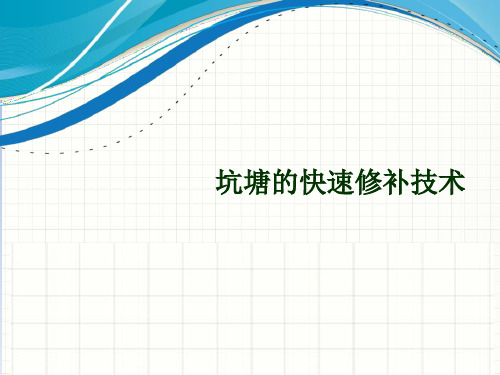 高性能冷补料介绍