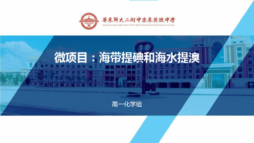海水提取碘和溴-海南省华东师范大学第二附属中学乐东黄流中学鲁科版高中化学必修二课件(共19张PPT)