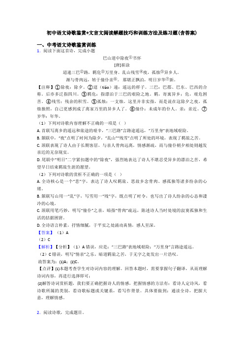 初中语文诗歌鉴赏+文言文阅读解题技巧和训练方法及练习题(含答案)