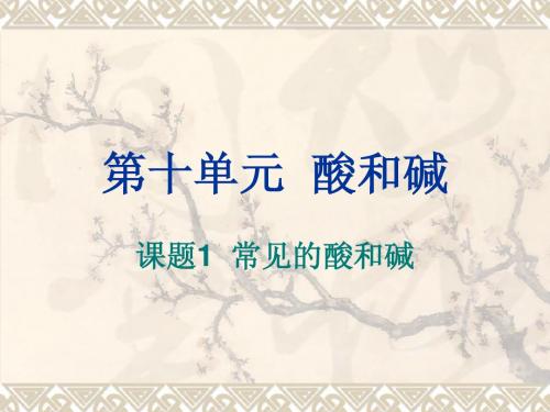 人教版九年级下册化学常见的酸和碱-第一课时 指示剂