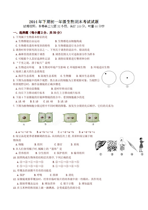 湖南省衡阳市逸夫中学七年级上学期期末考试生物试题(有答案)