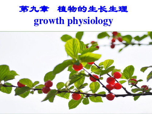 植物生理学：第九章   植物的生长生理