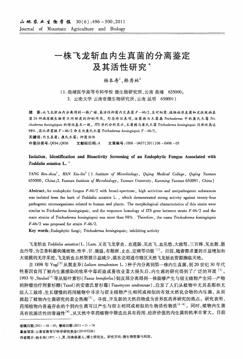一株飞龙斩血内生真菌的分离鉴定及其活性研究