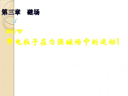 物理：3.6《带电粒子在匀强磁场中的运动》课件1(新人教版选修3-1)