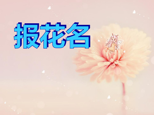 《报花名》PPT精选教学课件