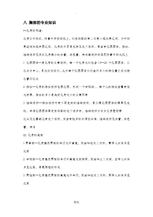 胸部的专业知识
