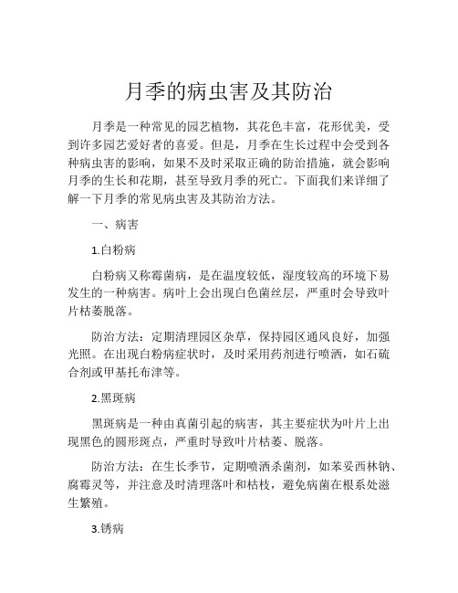 月季的病虫害及其防治