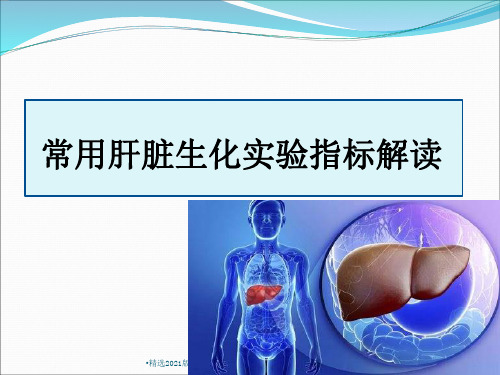 常用肝脏生化实验指标解读