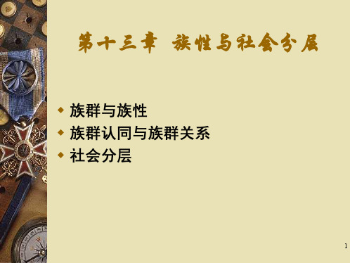 人类学概论第十三章族性与社会分层