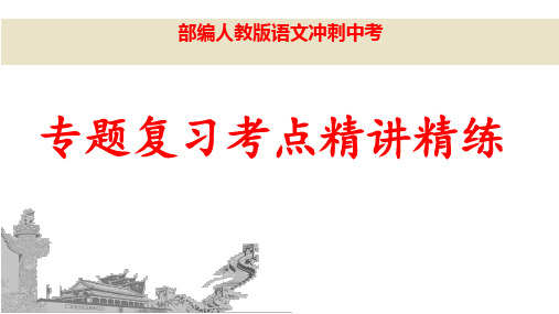 (名师整理)最新部编人教版语文冲刺中考《》专题复习精讲精练(含答案)