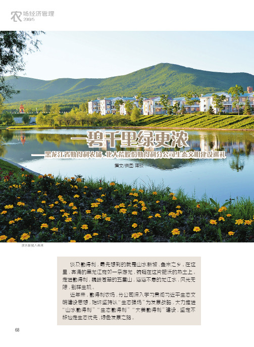 一碧千里绿更浓——黑龙江省勤得利农场、北大荒股份勤得利分公司