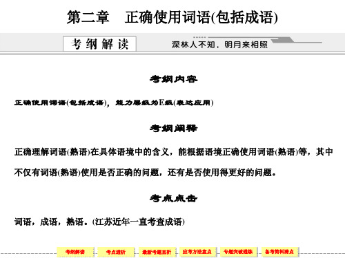 高考正确使用词语(包括成语)ppt课件