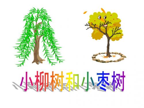 小柳树和小枣树PPT课件