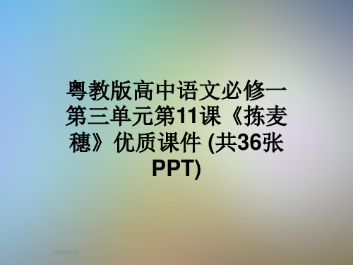 粤教版高中语文必修一第三单元第11课《拣麦穗》优质课件 (共36张PPT)