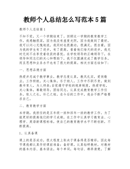 教师个人总结怎么写范本5篇