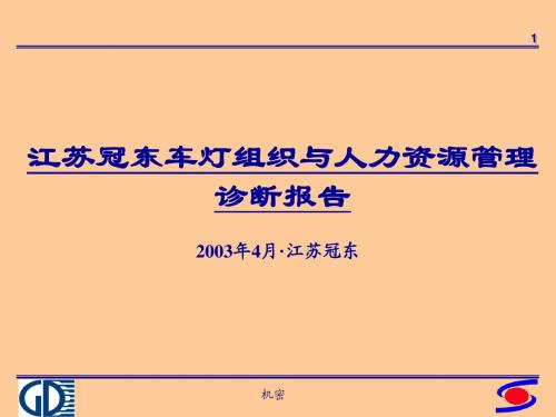 江苏冠东车灯组织与人力资源管理诊断(dg)