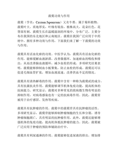 菝葜功效与作用