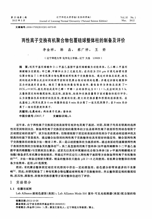 两性离子交换有机聚合物包覆硅球整体柱的制备及评价