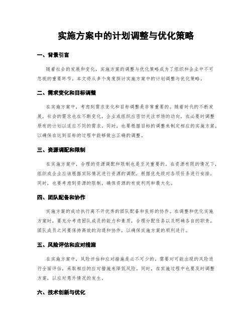 实施方案中的计划调整与优化策略