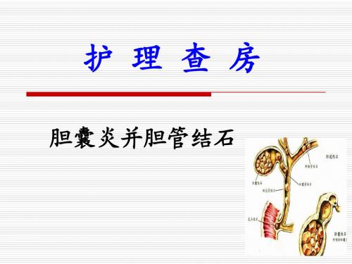 护理查房1