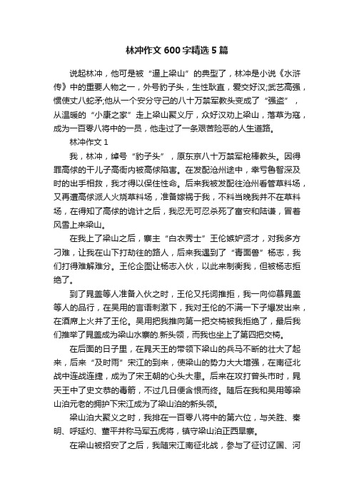 林冲作文600字精选5篇