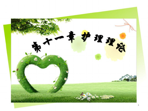 护理理论纽曼的健康系统ppt课件