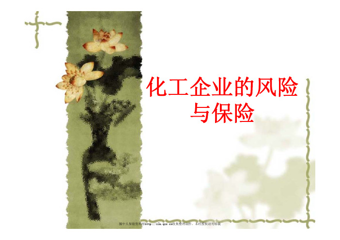化工企业的风险与保险(143页)PPT