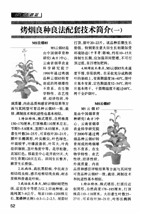 烤烟良种良法配套技术简介(一)