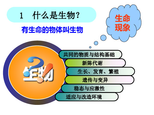 人教版高一生物必修一第一章第一节课件(共20张PPT)