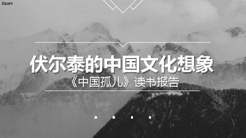 《中国孤儿》读书报告 PPT