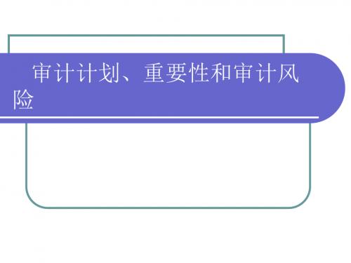 《审计计划、重要性》PPT课件