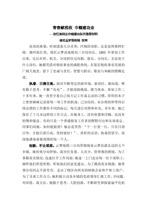 青春献税收 巾帼建功业