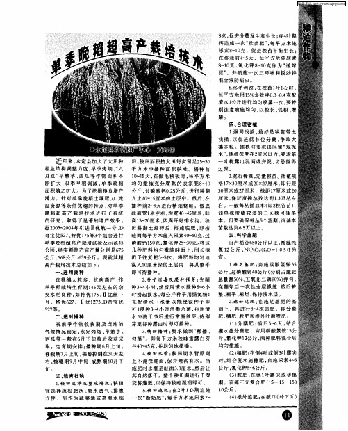单季晚稻超高产栽培技术
