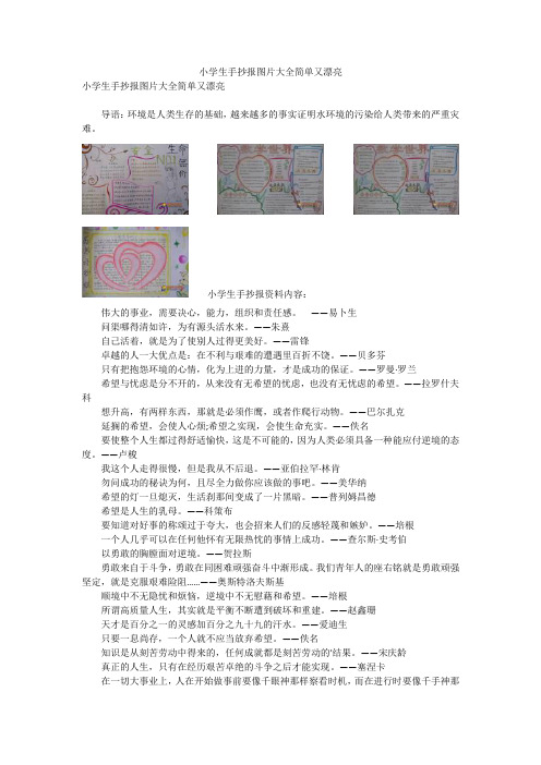 小学生手抄报图片大全简单又漂亮