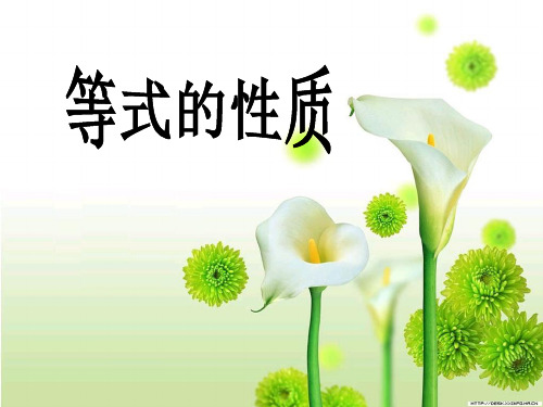 五级上册数学《等式的性质》 (共8张PPT)