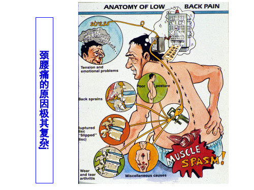 颈、腰椎退行性疾病