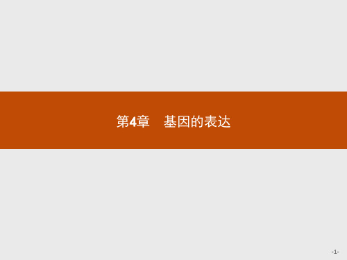 高中生物人教版必修2课件：4.1 基因指导蛋白质的合成