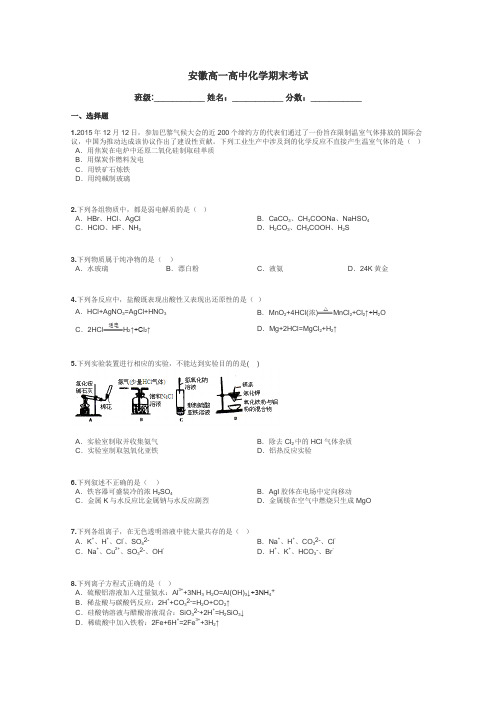 安徽高一高中化学期末考试带答案解析
