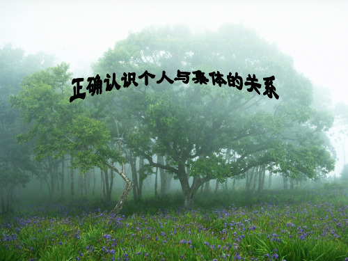 正确认识个人与集体的关系课件【2011.4.30】