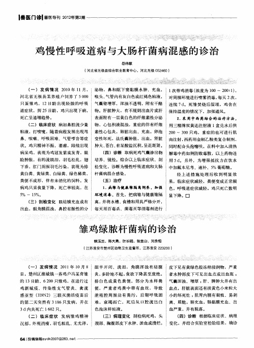 雏鸡绿脓杆菌病的诊治