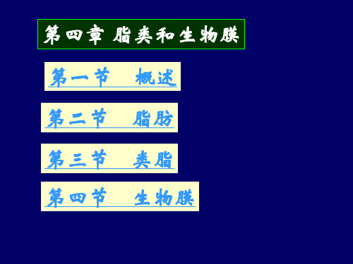 生物化学  脂质和生物膜