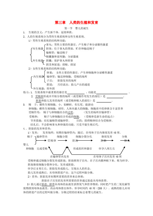 八年级生物上册 第四单元 第三章 人的生殖和发育复习提纲(无答案) 济南版